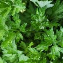 나눔농원 이미지