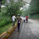 청옥야영장 이미지