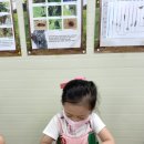 오세창곤충체험농장 이미지