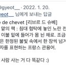 리플레토레 네이버블로그