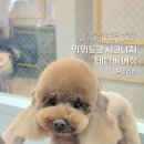 피카소 동물병원 이미지