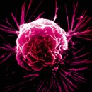 굿라이프슈퍼마켓 이미지