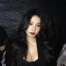 조이야 이미지