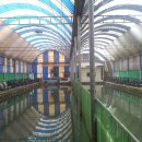 유일실내낚시터 이미지