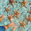 중부-현장-중부-220 | 필리핀 팔라완 숨은 여행지｜유럽인이 사랑하는 포트 바턴 PORT BARTON 여행 가이드 - 가는 방법과 추천...