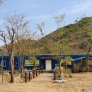 양지단비사슴농장 이미지