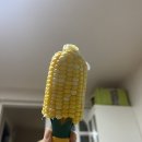 꼬지나인 이미지