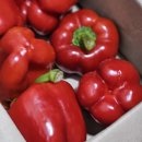 섭이네농장 이미지