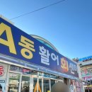 종일활어 이미지