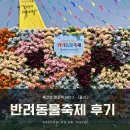 펫미장원 공감 | [울산] 2023 반려동물축제 “즐겨보개 페스티벌” 참석 후기