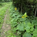 이석농장 이미지