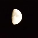 대부초등학교 이미지