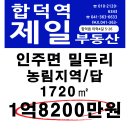 인주면 밀두리 토지 농림지역 답 1720㎡ 1억8200만원 매매 이미지