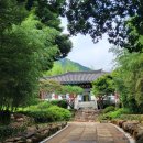 문학&생명관 이미지