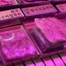 남이축산