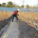 용인농장 이미지