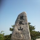 이성형 행정사 사무소 이미지