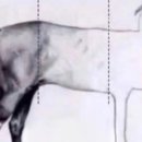 [제과제빵기능사 실기] 제빵기능사 이미지