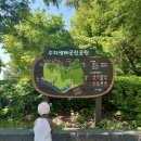 초막골생태공원(비지터센터) | 🌿 아이랑 가기 좋았던 수지생태공원 방문후기 😊