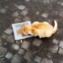 물레방아휴게소매점