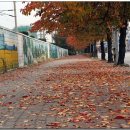 해성농원 이미지