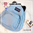 바니와 거북이 | 잔스포츠 하프 파인트 미니백팩 Blue dusk 내돈내산 후기, 수납력 사이즈
