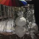 벗삼다 | 얄라차