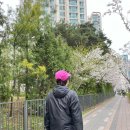 댕댕 일번가 | 死月🩸