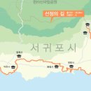 제주불교성지 순례길 절로가는길 - 선정의 길 이미지