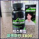 익스트림 블랙마카 1800 내돈내산 후기 &amp; 블랙마카효능