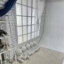 에버그린빌딩 | 창원 아기 백일사진 사진관 미스터곰 스튜디오