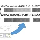 수산대장 이미지