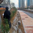 감일스윗시티아파트 이미지