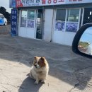 제주낙원
