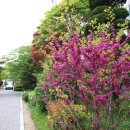 금곡LG칠보공인중개사사무소 | 전원형 아파트의 절대 강자 !! 금곡동 엘지빌리지(금곡LG아파트), 칠보마을 6단지를 적극 추천합니다.