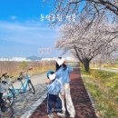 섬밭길 자전거대여소(11월~2월) | 구미 동락공원 벚꽃 - 자전거 대여, 봄나들이 아이랑 가볼만한 곳