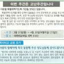 대전천성교회 "전교인 택시타고오기" 행사풍경 이미지