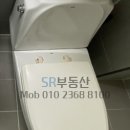더 그린즈 이미지