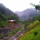 물소리바람소리 이미지