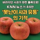 영귀미농협 사과선별장 | [열매나무] 버려지던 사과가 완판 품목으로!!