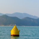 금광수산 이미지