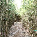 작곡재 좌측 이미지