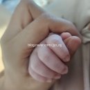 예능이스턴키즈어린이집 | 2026년 2월 일상 몰아쓰기~