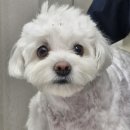 해뜨는 동물병원 이미지