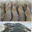 대하유통