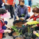 힐링 원예교실 이미지