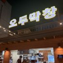 오두막여기 | 광주 쌍촌동 먹자골목 근처 막창맛집, 구워주는 ‘오두막창’ 내돈내산후기