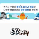 제주이브이전기렌트카