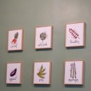 아즘찬이 이미지