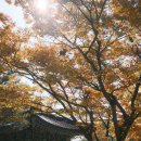 에프엑스 오리지널 | 유행이 뭐든 됐고 난 그냥 날 살고 나다운 가사를 쓸거야 날 닮은 애들이 내 앨범을 살거야